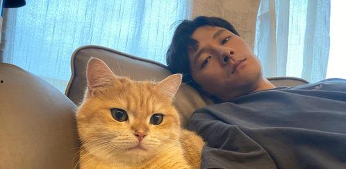 吃瓜娱乐赵小瞒小猫